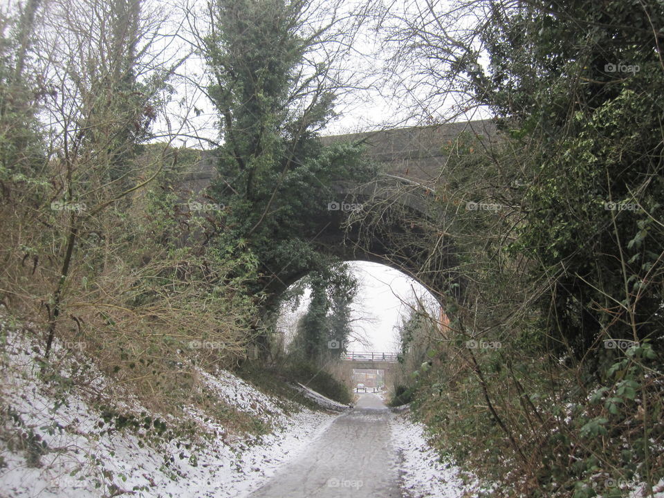 Bridge In The Snow