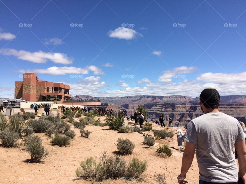 Exploring the Grand Canyon 