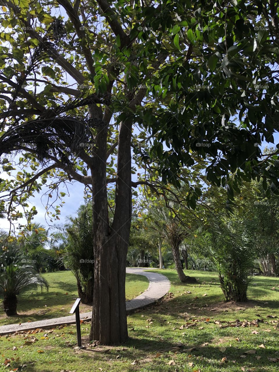 Plants around everywhere,Pukae Botanical Garden.