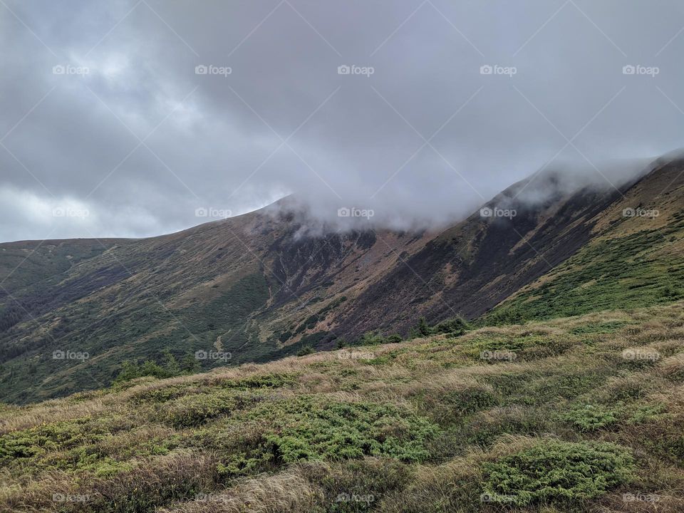 Carpathians (Ukraine).