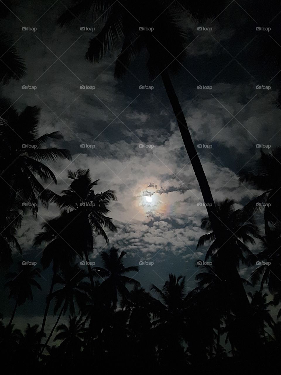 A beautiful moonlit night