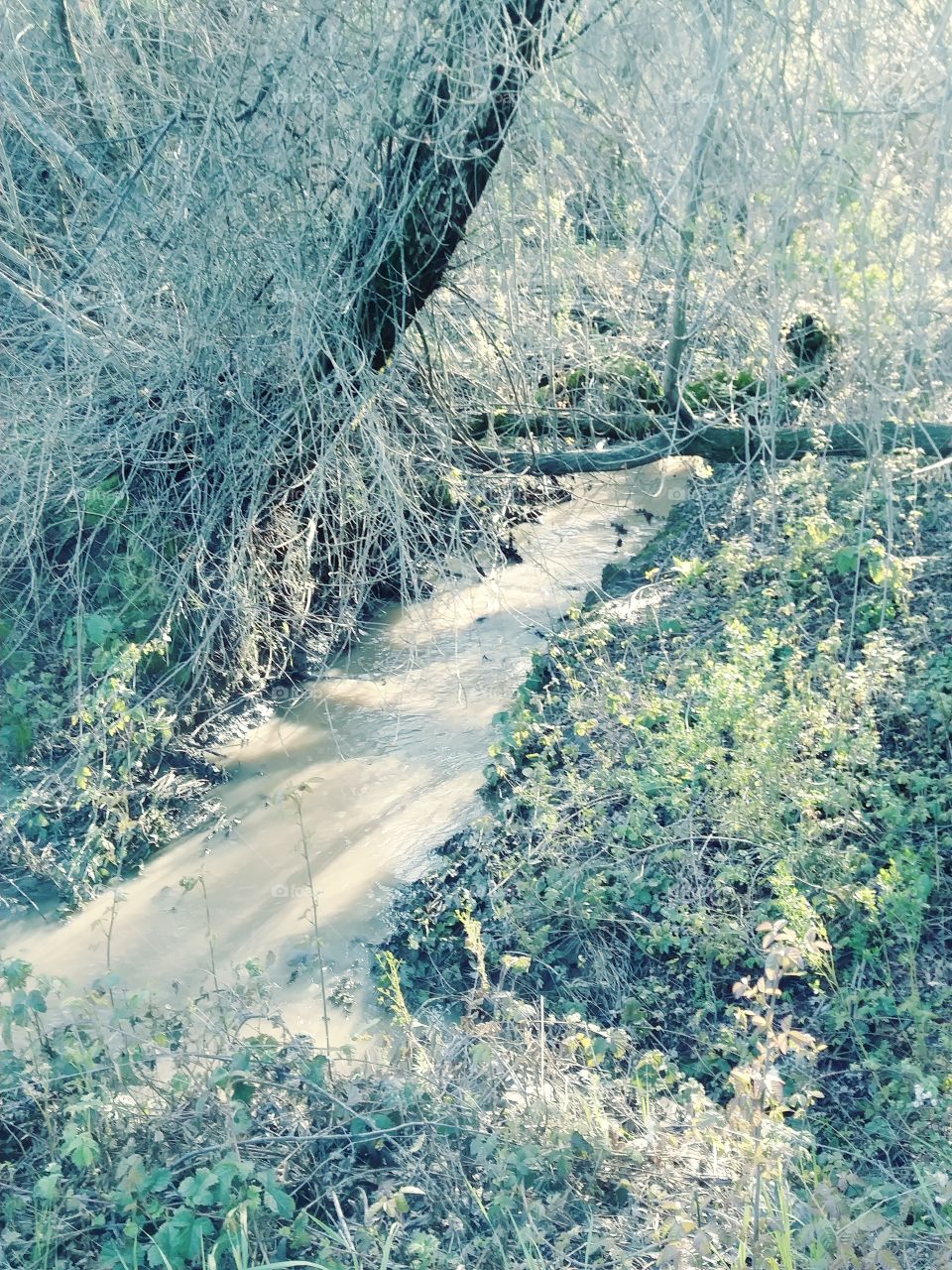 Lafayette Mud