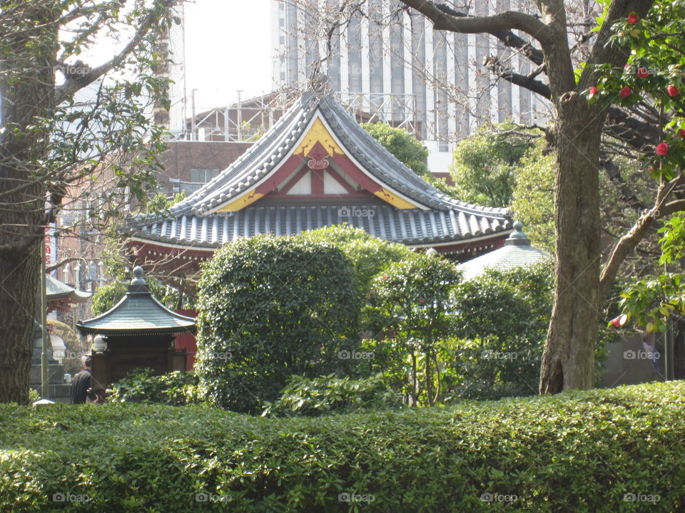 Traditional Japanese Garden on Sensoji Temple Grounds.  Asakusa Kannon, Tokyo, Japan