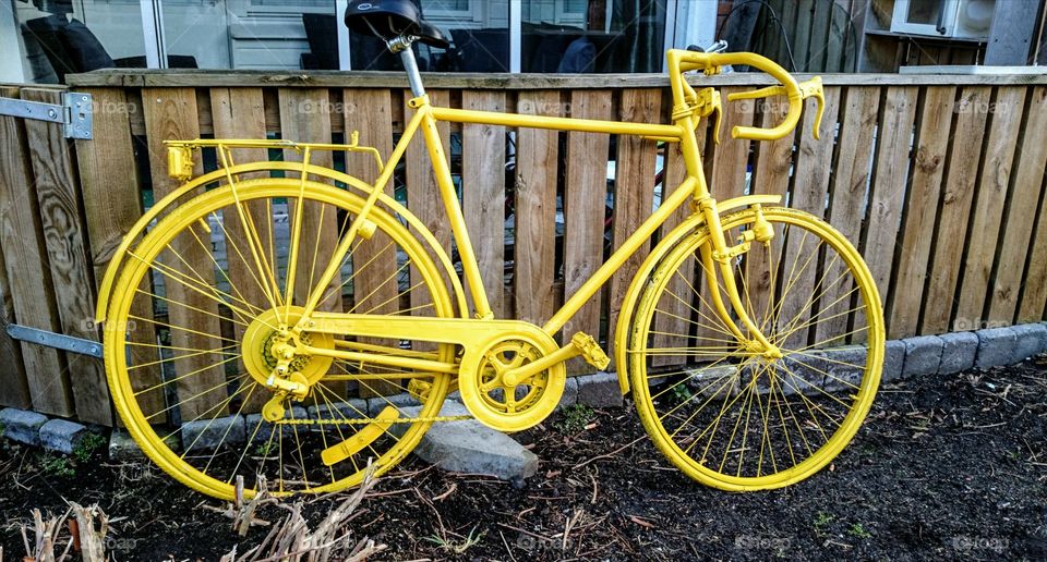 Yellow yellow yellow bicykle