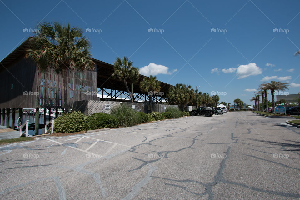 Tree, Beach, No Person, Travel, House