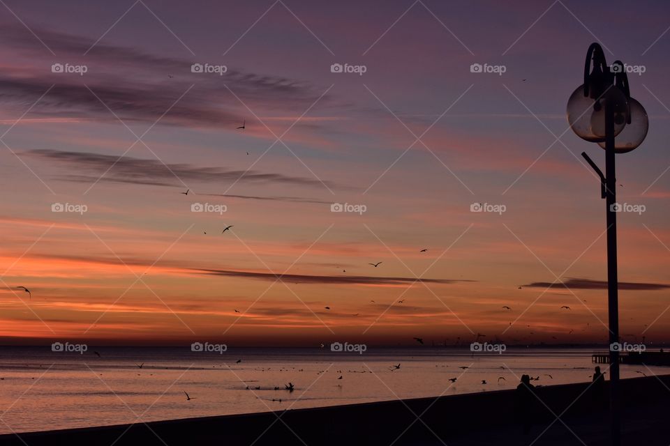 Sunset, Dawn, Water, Beach, Evening