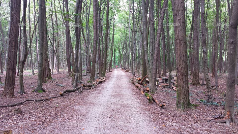 Park Maksimir