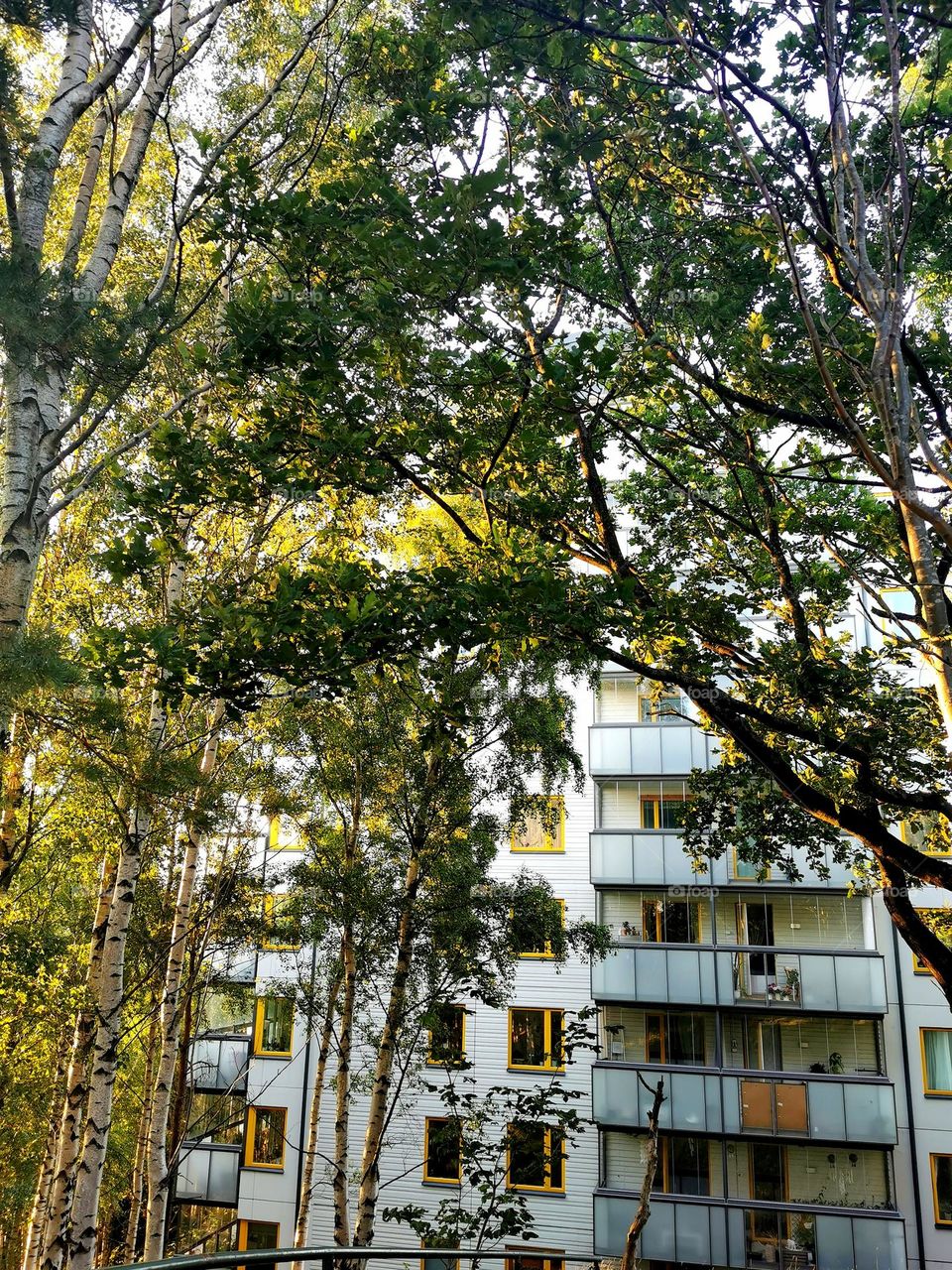 Evening sun at the apartment house