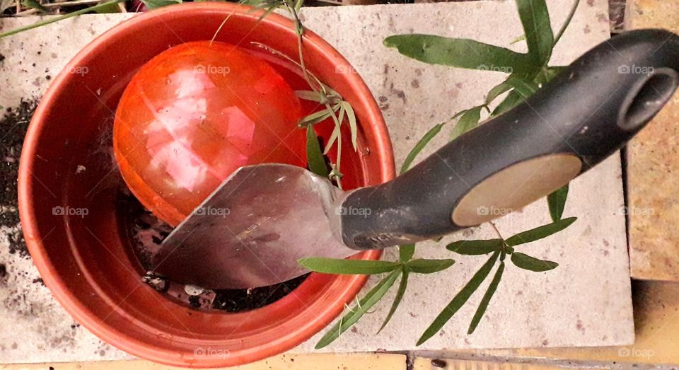 plastic pot red ball and garden spatula