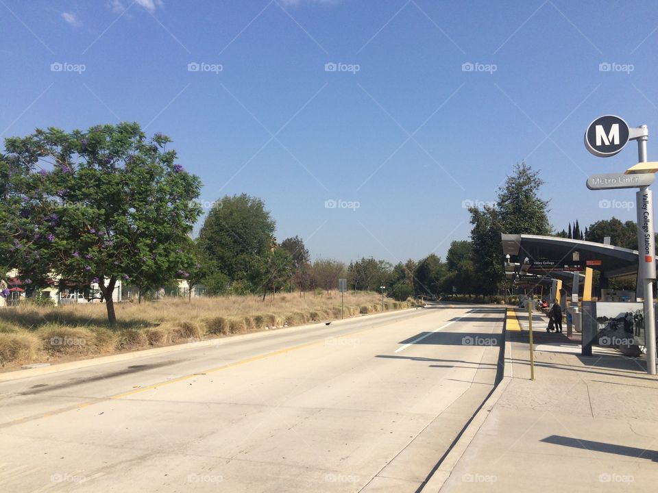 Road, No Person, Transportation System, Tree, Travel