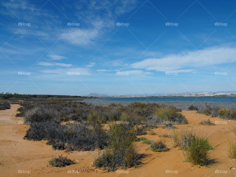 An arid landscape and a lake near Torrevieja, Spain
