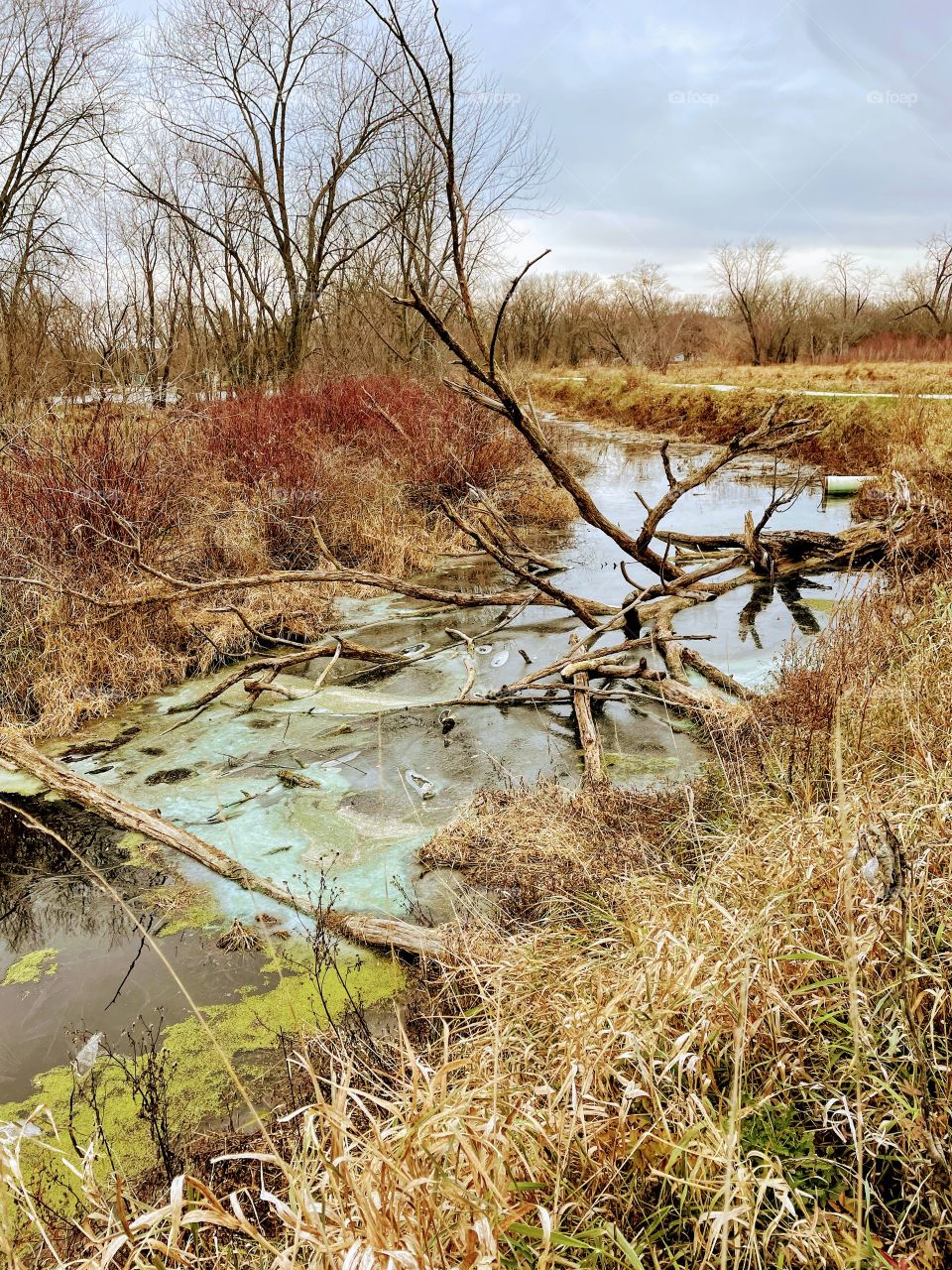 A Brisk Autumnal Hike