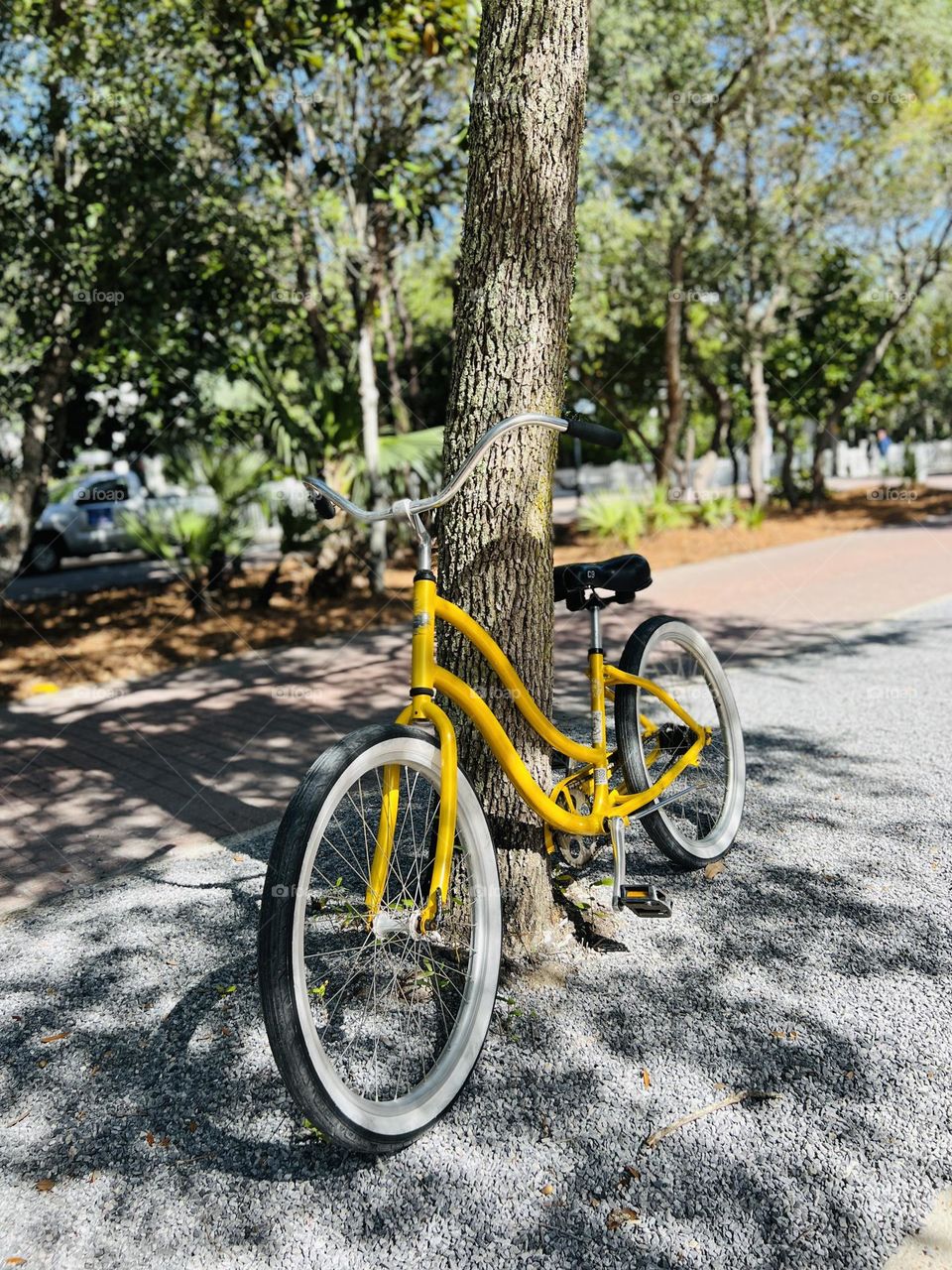 Yellow cruiser style bicycle with white wall tires leaning against a tree on sidewalk, next to street.