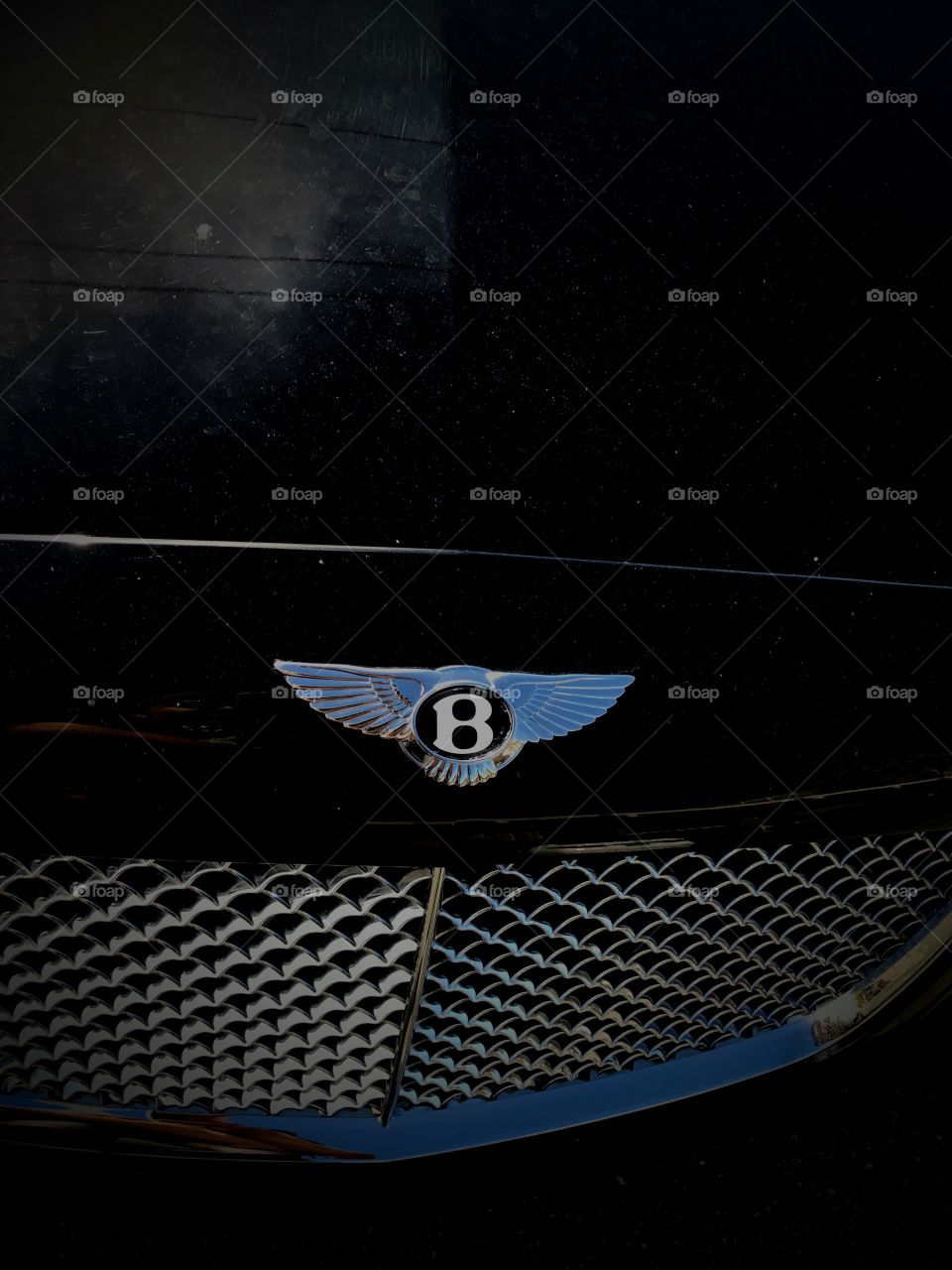 Bentley symbols 