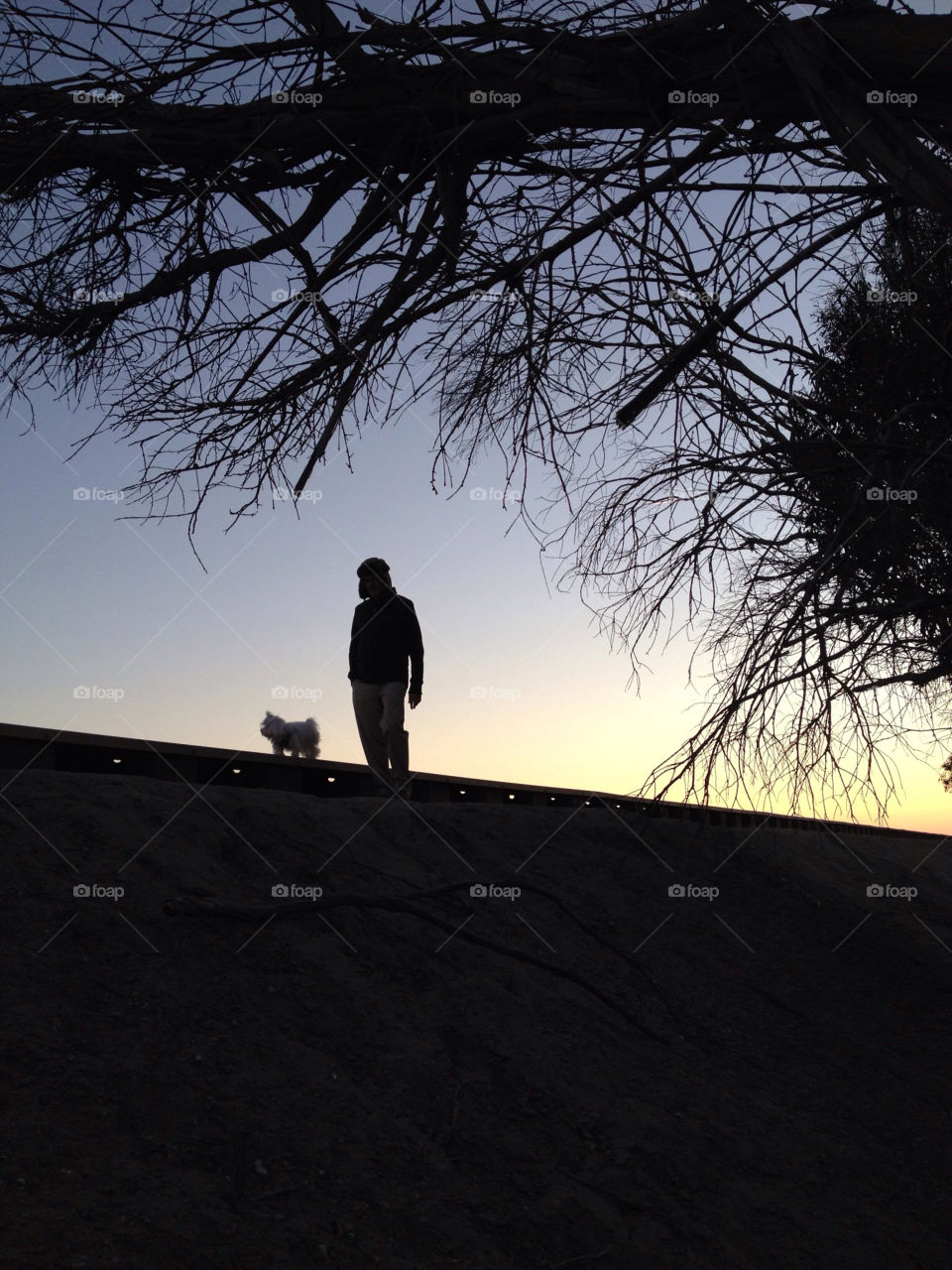 Sunset stroll with dog and silhouette of  man