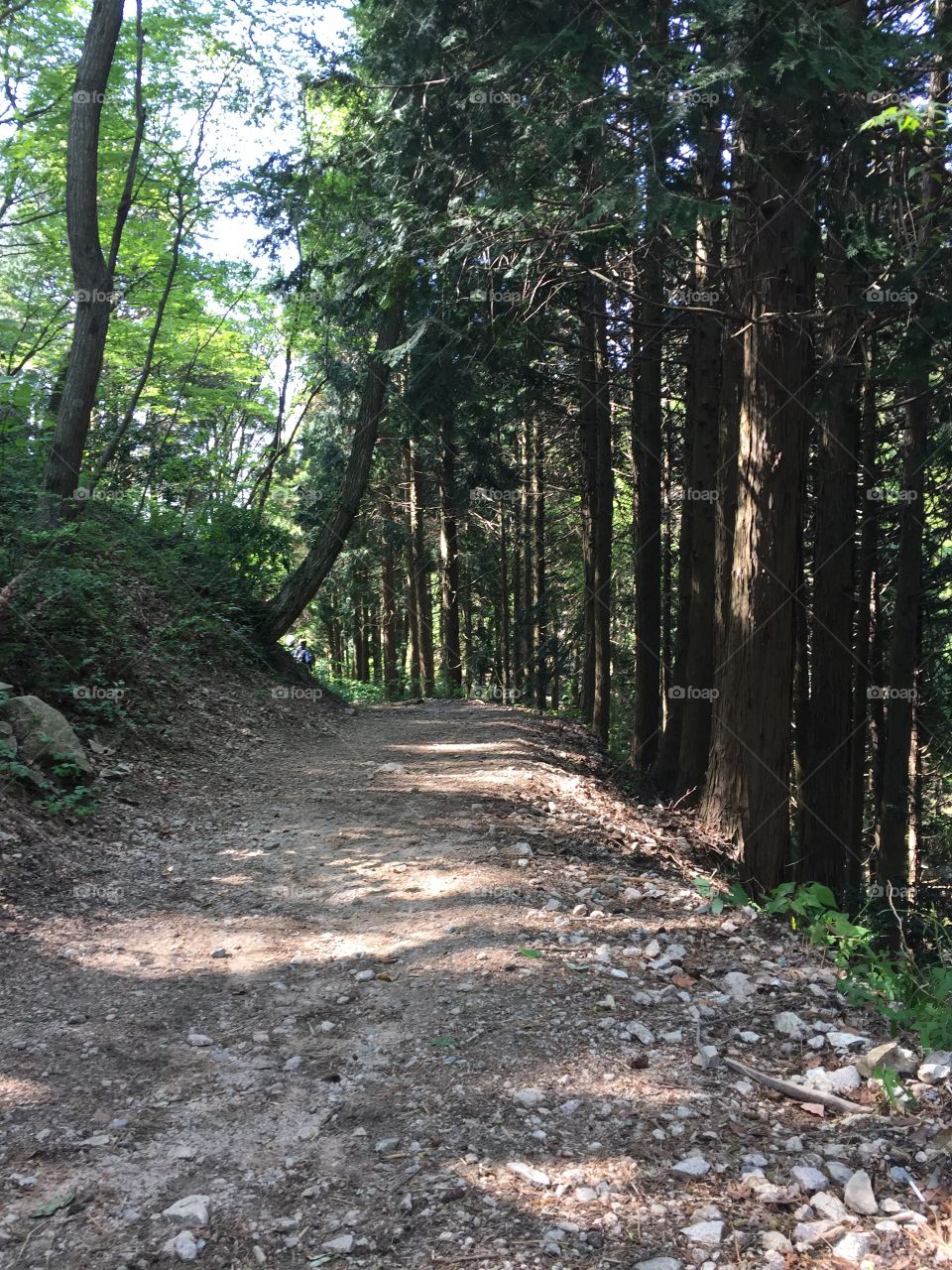 Hiking through the mountains in Kobe, Japan