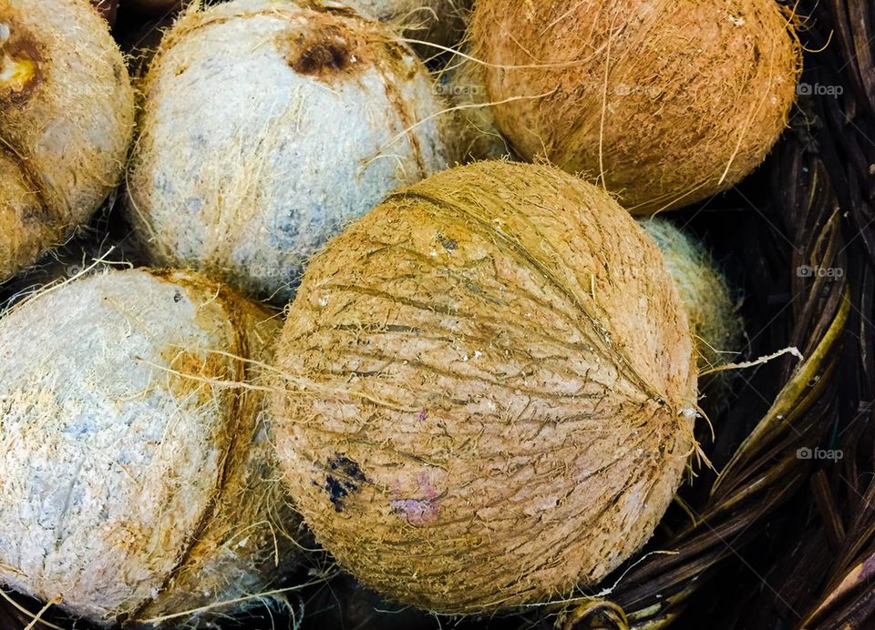 Philippine Coconut