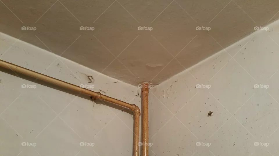Pipe