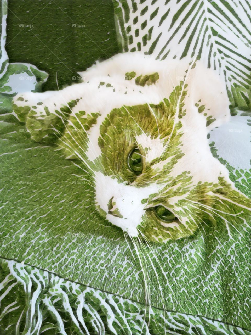 Camouflage cat