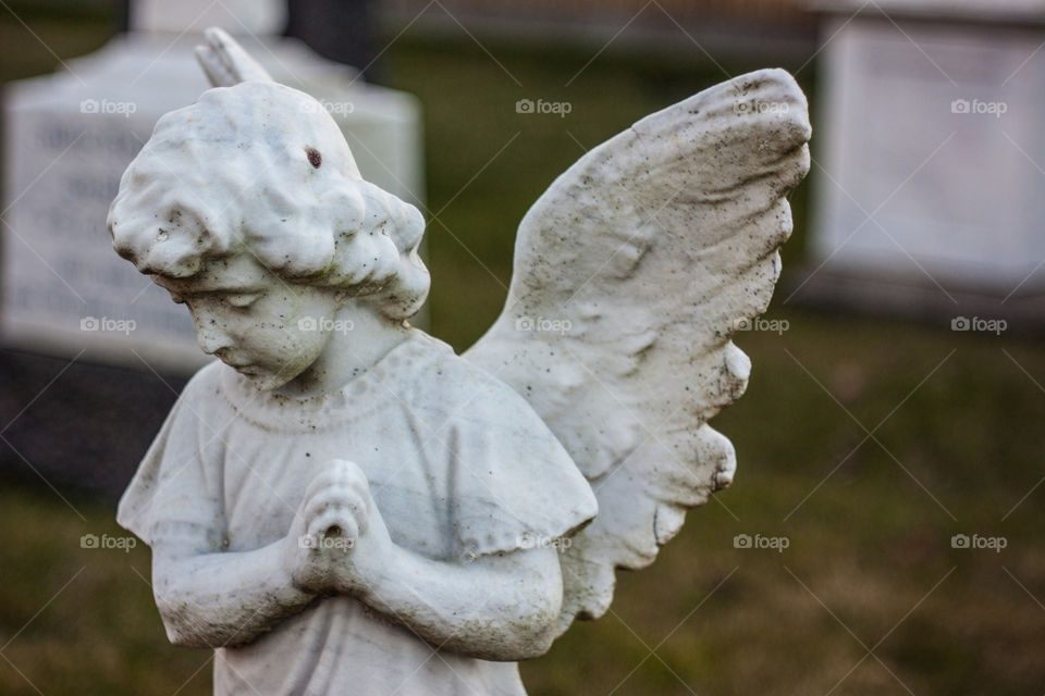Close-up of a angel statue