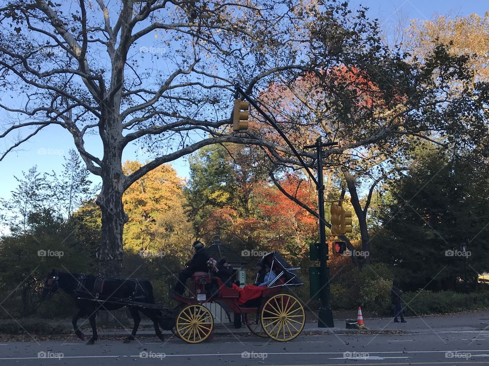 One of the most quintessential New York experiences: a horse carriage ride through the Central Park. #CentralPark #NewYork #foliage