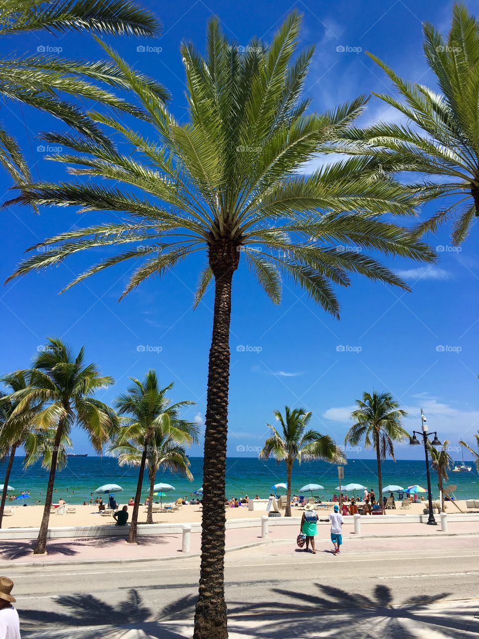 Perfect day in Florida