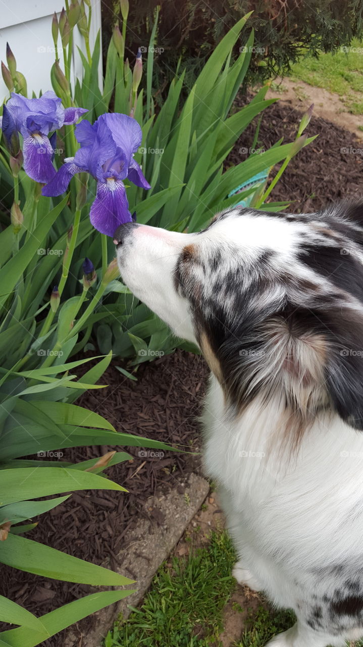 Stopped to smell the flowers