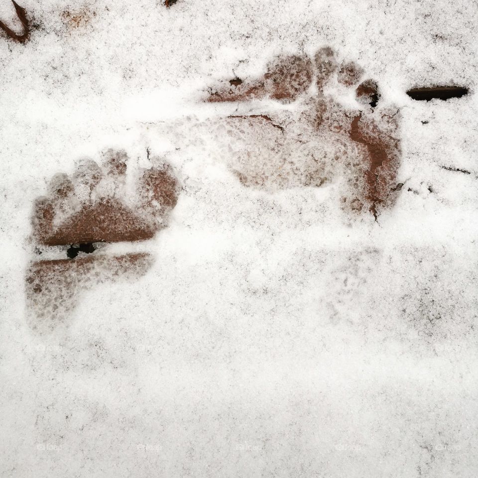 Foot Prints in The Snow