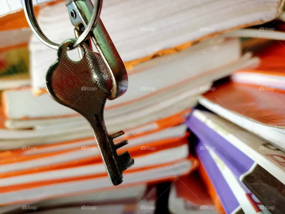 Books are the key of success.