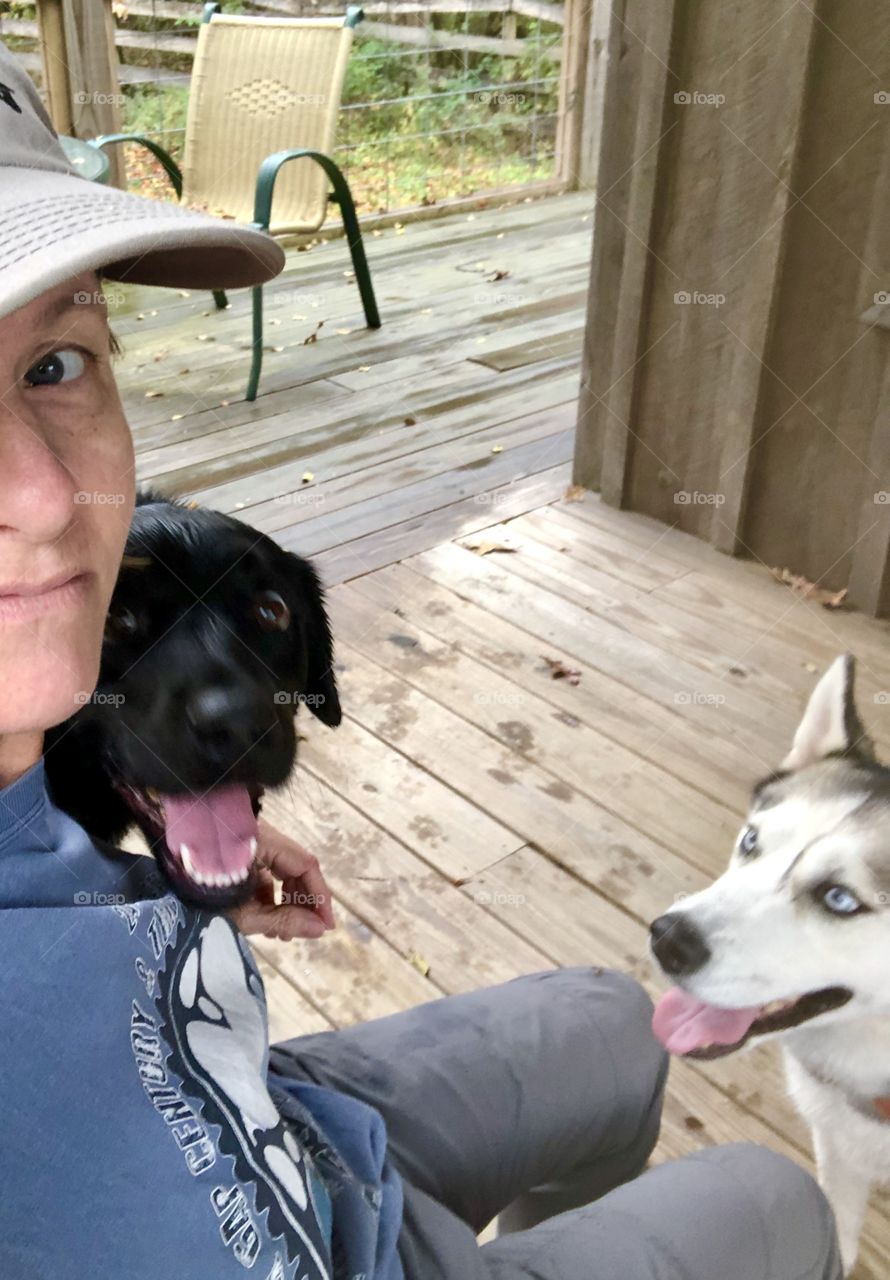 Wild animals in the rain