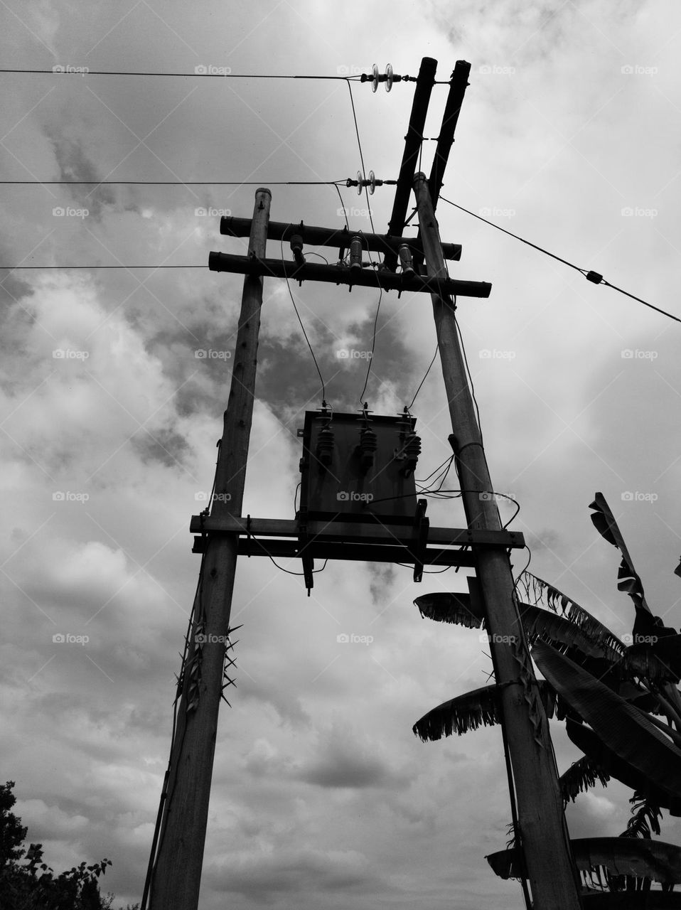 power lines black and white
