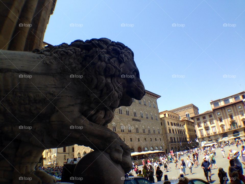 Piazza Del Signoria Florence Medici Lion