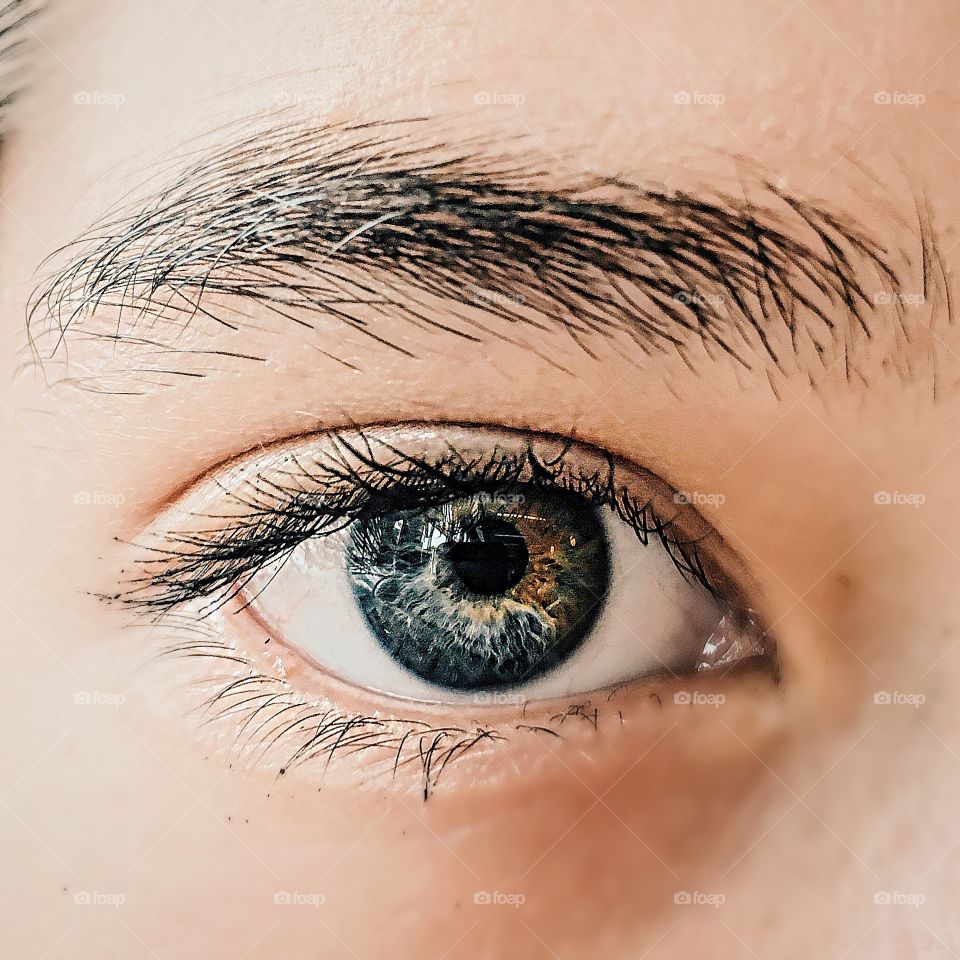 Macro shot of eye