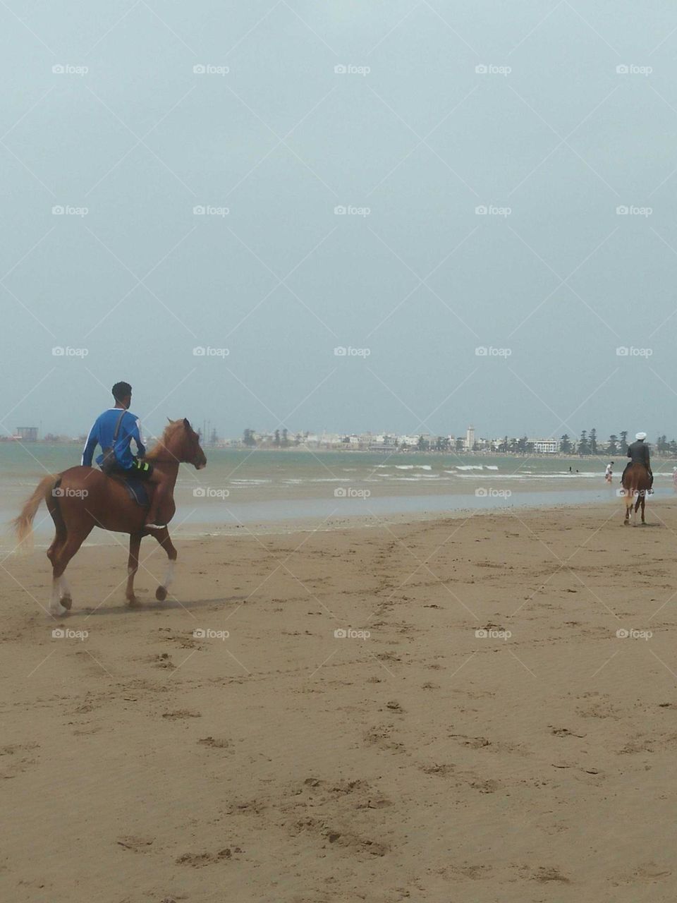 Nice trip on. Horse near the beach at essaouira city in Morocco