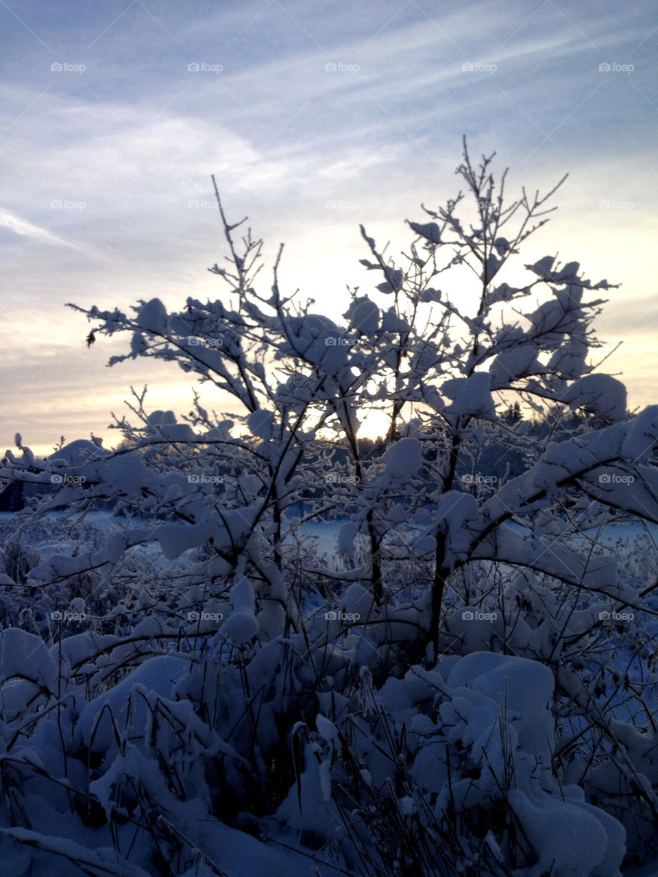 snow winter sky white by joosse_b