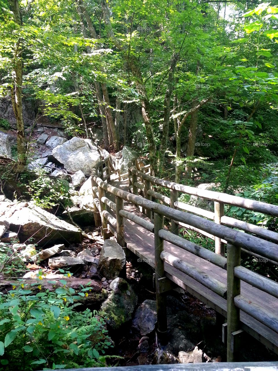 Hiking in southwestern Virginia