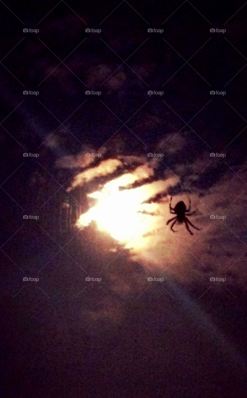 Spider Moon . Super moon on August 29th and a spider on its web. 
