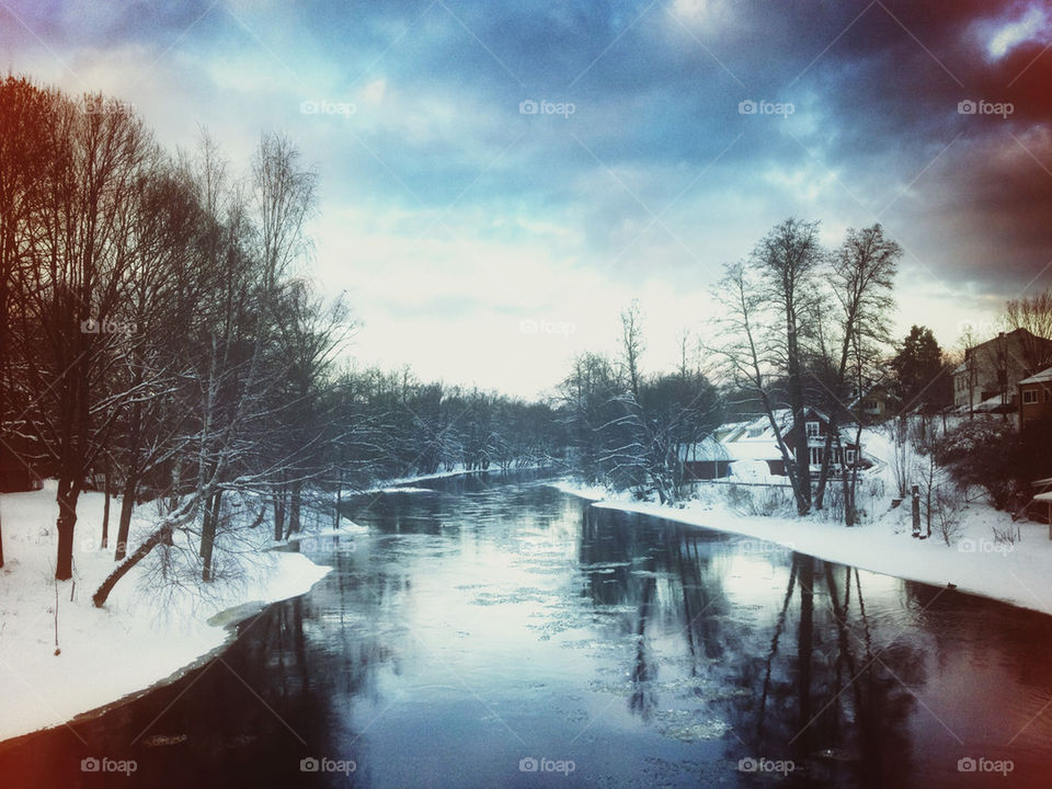 River along with tree