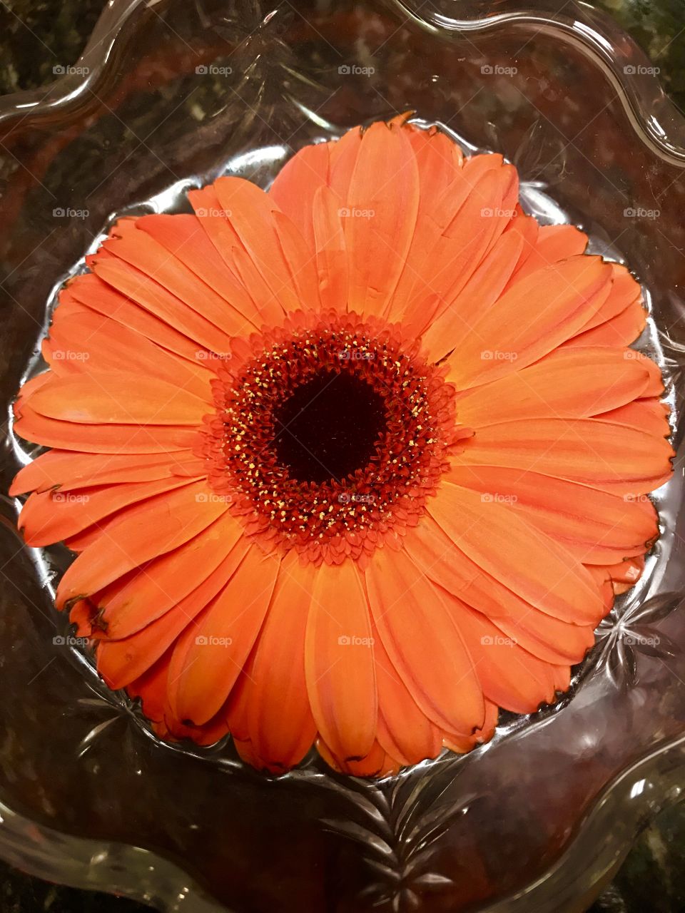 Vibrant orange flower in a crystal bowl.
