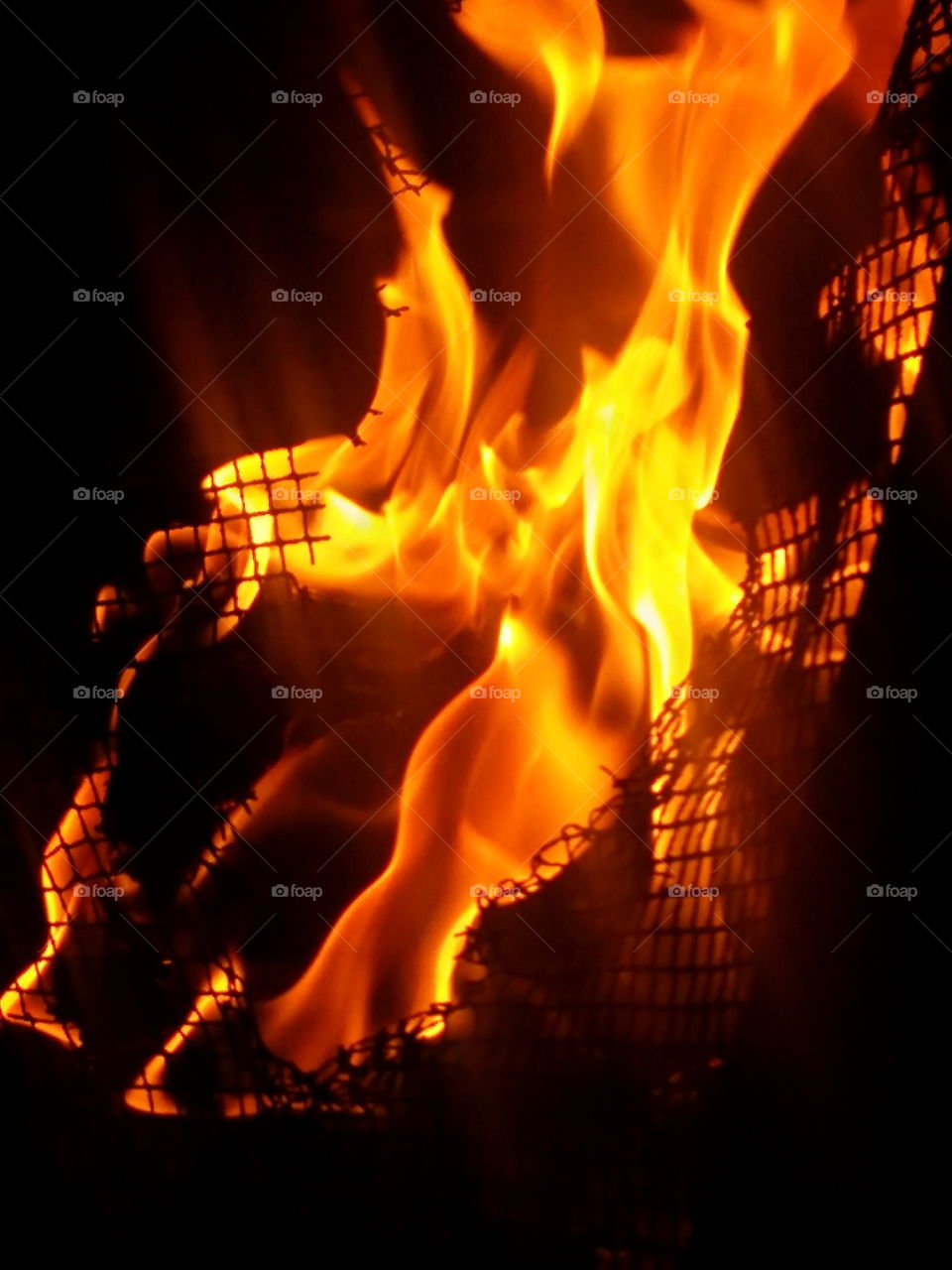 Close-up of campfire