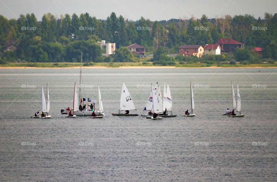 Sailboats on the lake on a summer day