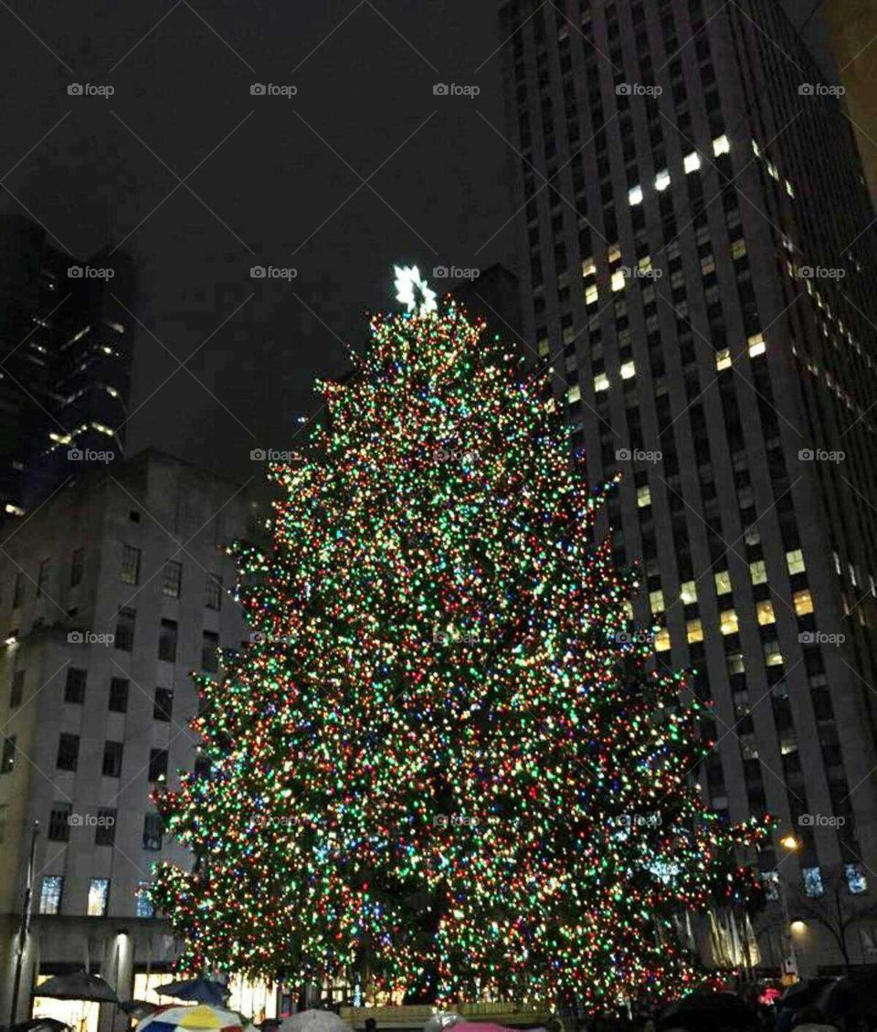 Christmas tree in New York 