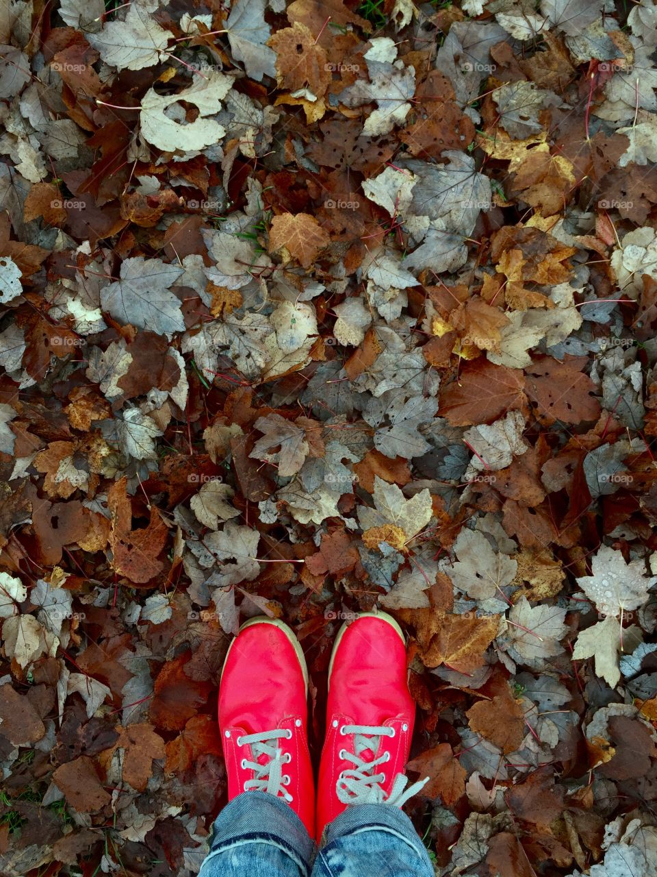 Fall is here, and this is the quintessential social media fall photo! Bright pink shoes help catch the eye of consumers, and fallen leaves add beautiful texture. 