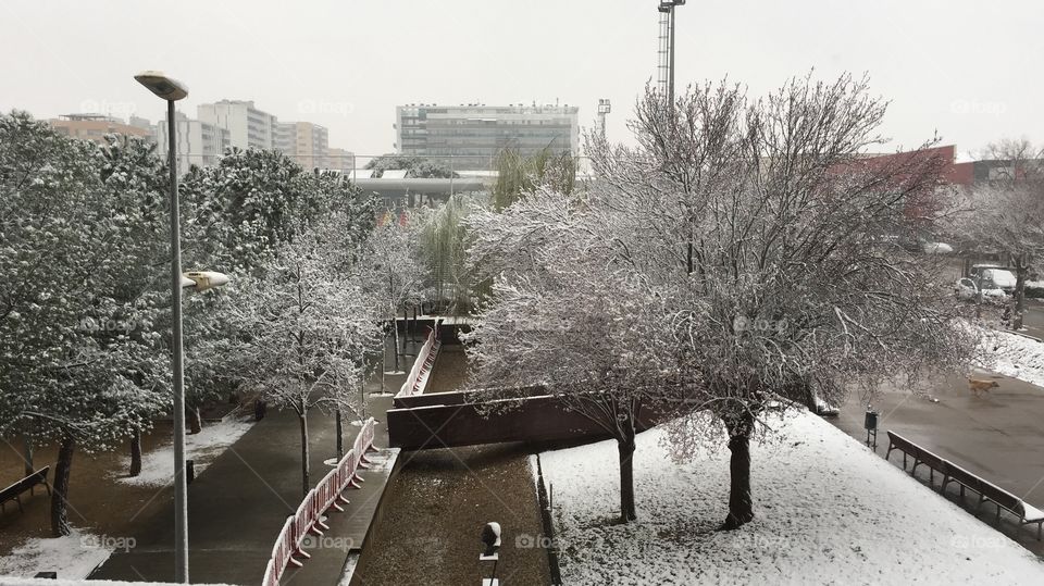 Amaneciendo con nieve, es realmente bonita. 