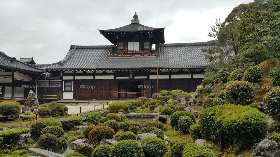 Tofukuji Temple in Kyoto, Japan