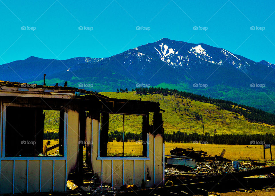 Reclamation. The remains of the once great home of the blue buffalo, destroyed by a wildfire in 2014