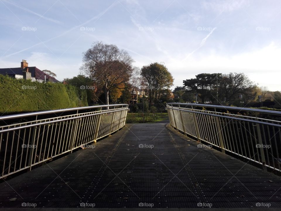 Bridge inside Dublin's Botanic garden