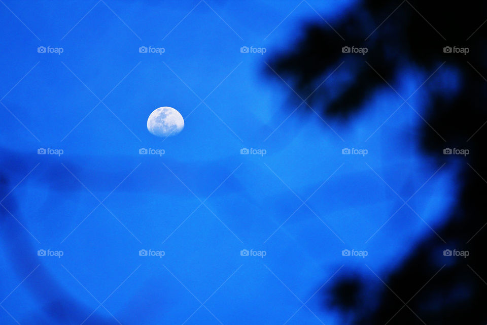 moon in evening
