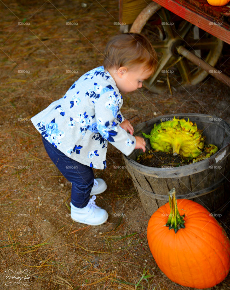 toddler at farm