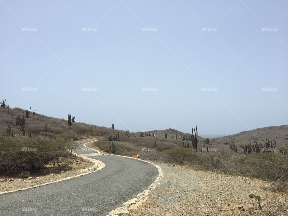 Road . Road on Aruba national park